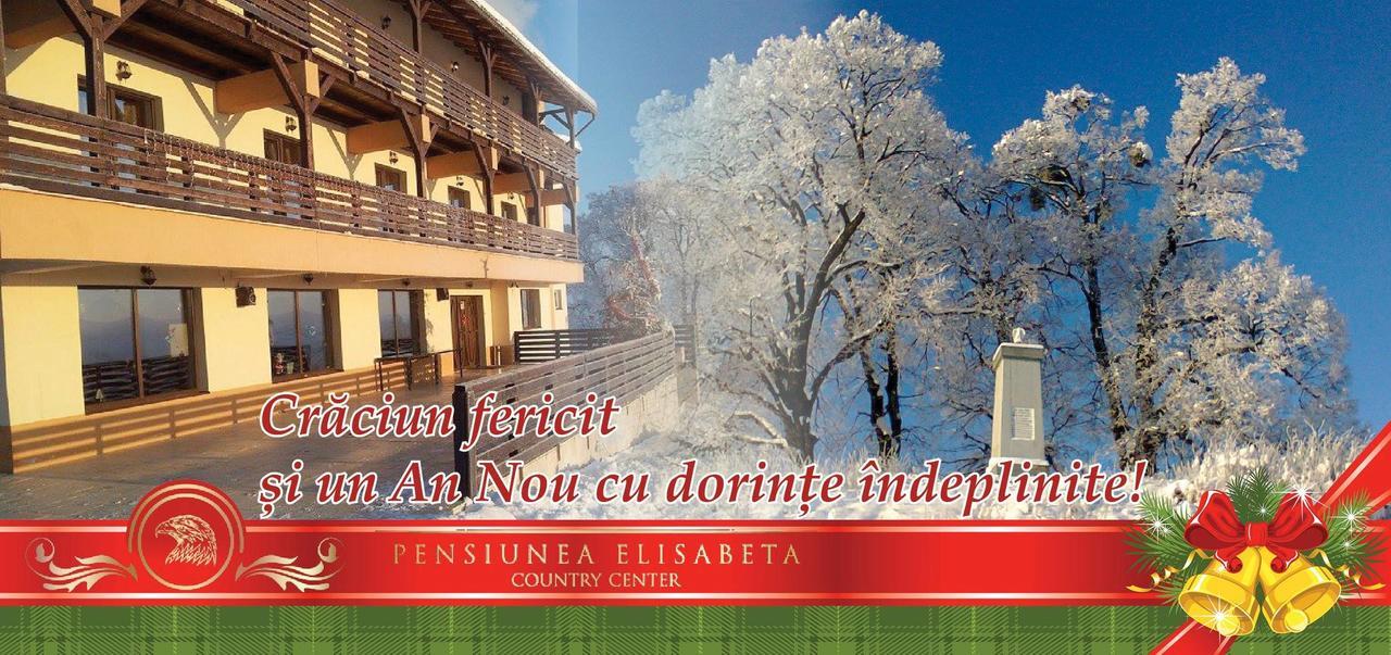 Pensiunea Elisabeta Merghindeal Bagian luar foto
