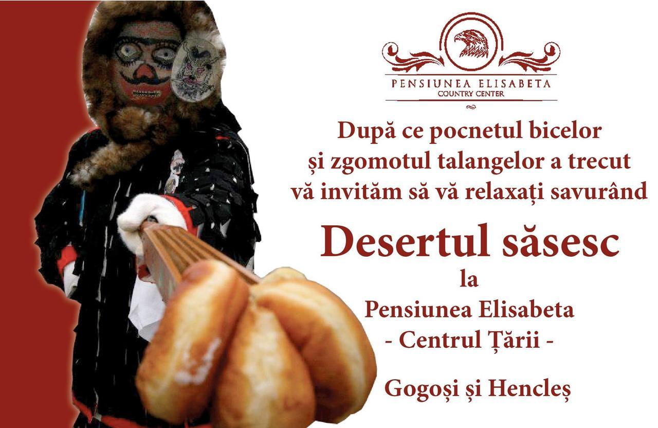 Pensiunea Elisabeta Merghindeal Bagian luar foto