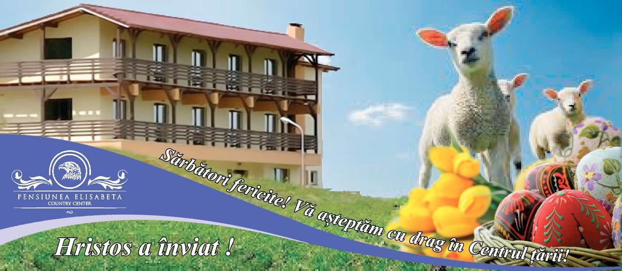 Pensiunea Elisabeta Merghindeal Bagian luar foto